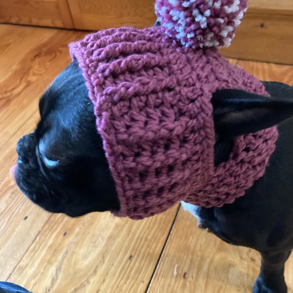 Hand knit/crochet Berry dog hat with pom-pom and collar - Picture 4 of 7